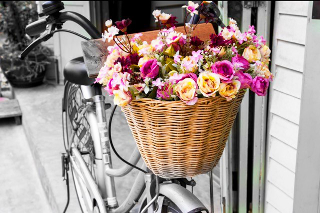 DE115 Wall décor art photographic on canvas bicycle and roses
